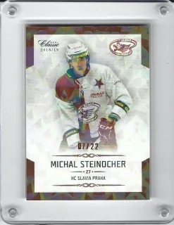 Stejnocher Michal OFS Chance Liga 2018-19 Rainbow xx/22 č.83